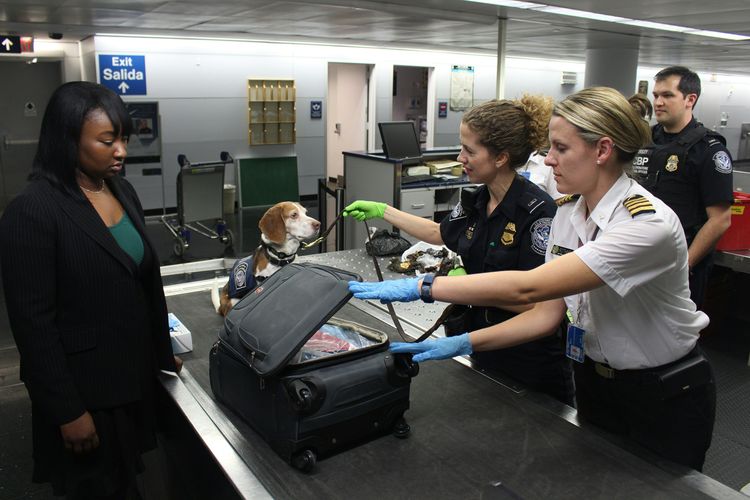 US Customs for Dutch Travelers: What to Expect at Border Control